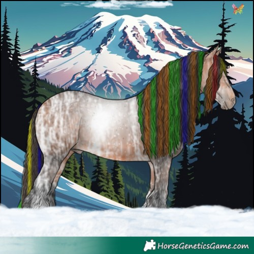 Horse Color:Painted Bay Ice Tobiano 