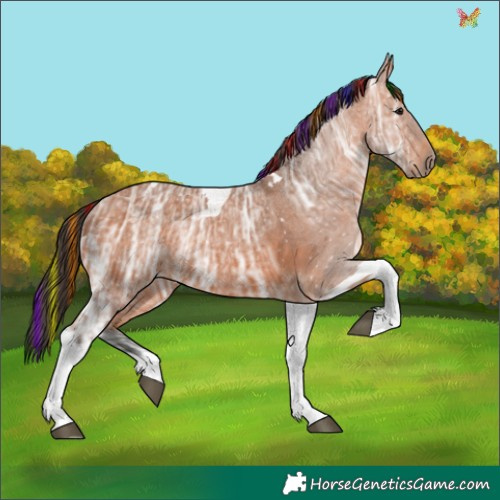 Horse Color:Painted Bay Ice Tobiano 