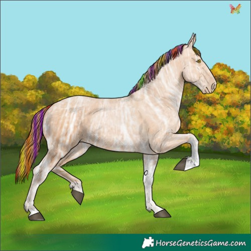 Horse Color:Painted Bay Ice Pearl Tobiano