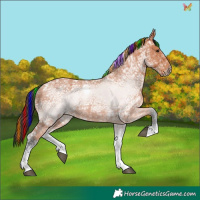 Horse Color:Painted Bay Ice Tobiano 