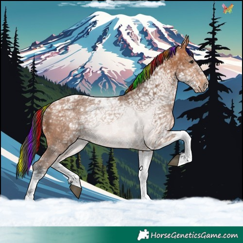 Horse Color:Painted Bay Ice Tobiano