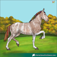 Horse Color:Painted Chestnut Ice Tobiano 