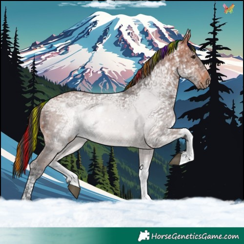 Horse Color:Painted Bay Ice Tobiano
