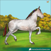 Horse Color:Painted Bay Ice Tobiano