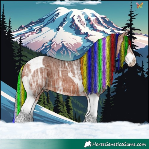 Horse Color:Painted Bay Ice Splash Tobiano 