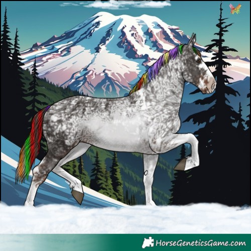 Horse Color:Painted Liver Chestnut Ice Splash Tobiano