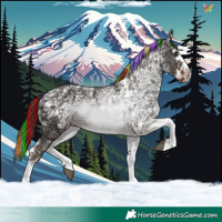 Horse Color:Painted Liver Chestnut Ice Splash Tobiano