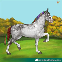 Horse Color:Painted Liver Chestnut Ice Splash Tobiano 