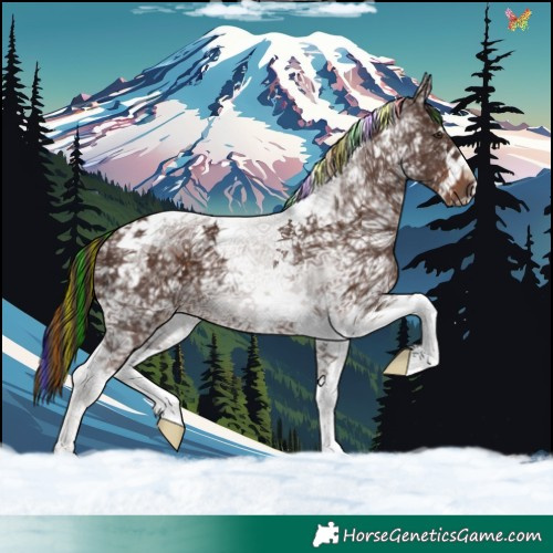 Horse Color:Painted Liver Chestnut Ice Splash Tobiano