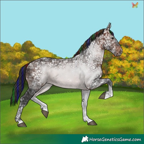Horse Color:Painted Brown Ice Tobiano 
