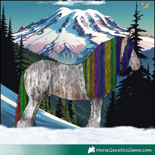 Horse Color:Painted Bay Ice Tobiano 