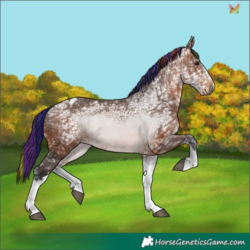 Horse Color:Painted Brown Ice Tobiano 