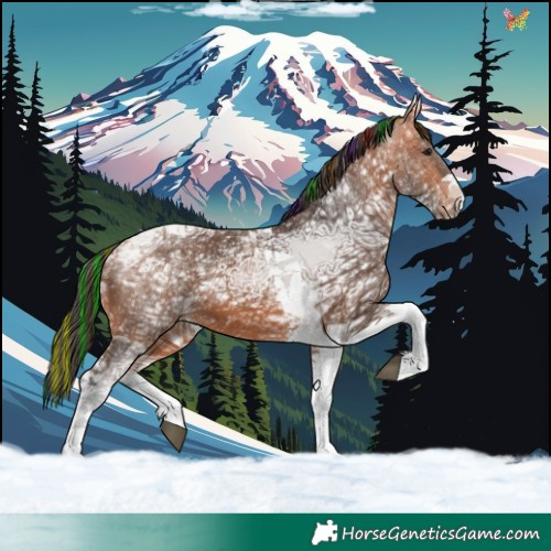 Horse Color:Painted Bay Ice Tobiano