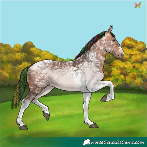 Horse Color:Painted Bay Ice Tobiano 