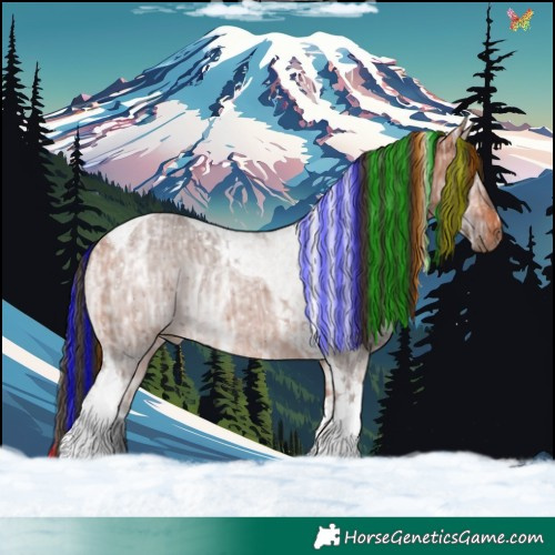 Horse Color:Painted Bay Ice Tobiano 