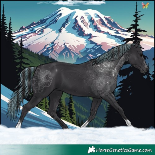 Horse Color:Painted Black Tobiano 
