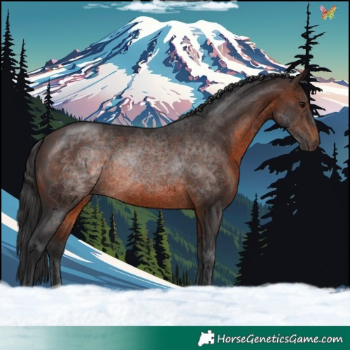 Horse Color:Brown 