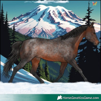 Horse Color:Brown 