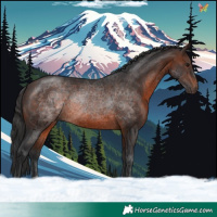 Horse Color:Brown 