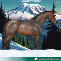 Horse Color:Brown 
