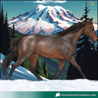 Horse Color:Brown 