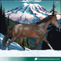 Horse Color:Brown Tobiano 