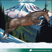 Horse Color:Brown Tobiano
