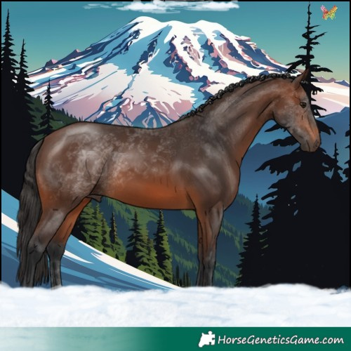 Horse Color:Brown 