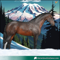 Horse Color:Brown Tobiano