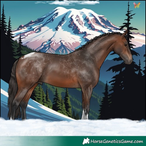 Horse Color:Brown Tobiano 