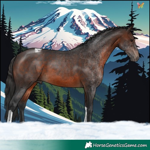Horse Color:Brown Tobiano 