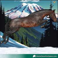 Horse Color:Brown 
