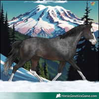 Horse Color:Brown Splash 