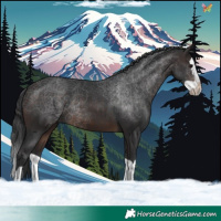 Horse Color:Brown Splash