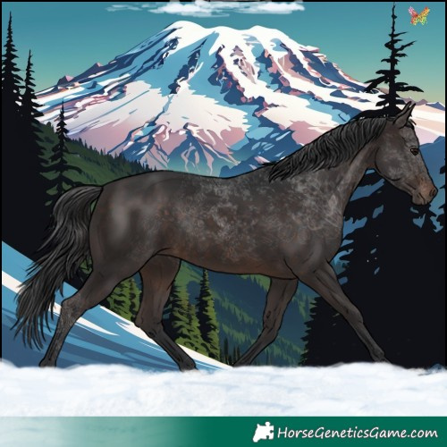 Horse Color:Brown 