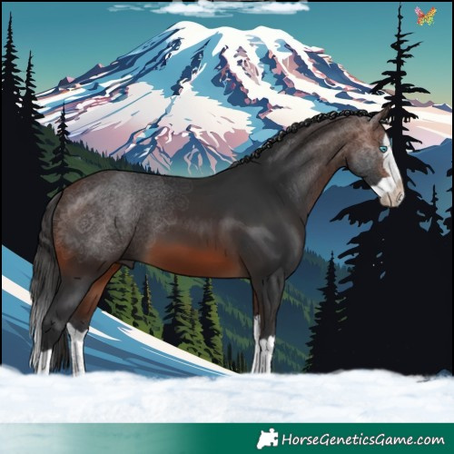 Horse Color:Brown Splash 