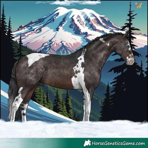 Horse Color:Brown Splash Tobiano 