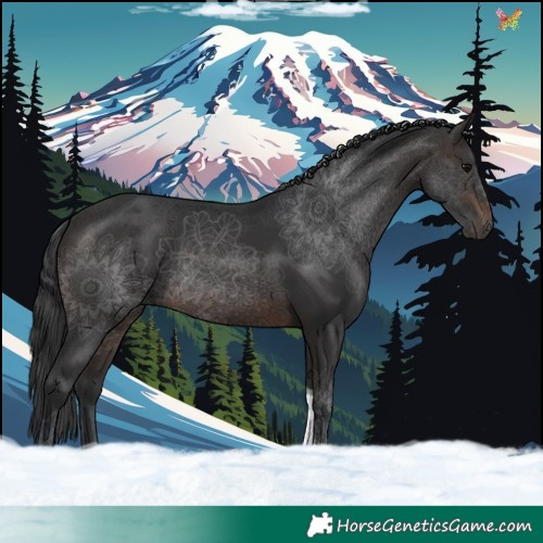Horse Color:Brown Tobiano