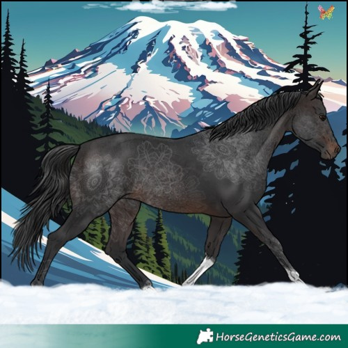 Horse Color:Brown Tobiano