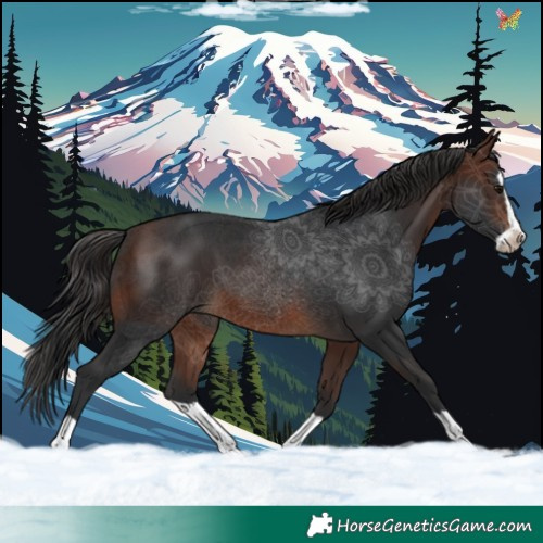 Horse Color:Brown Splash 