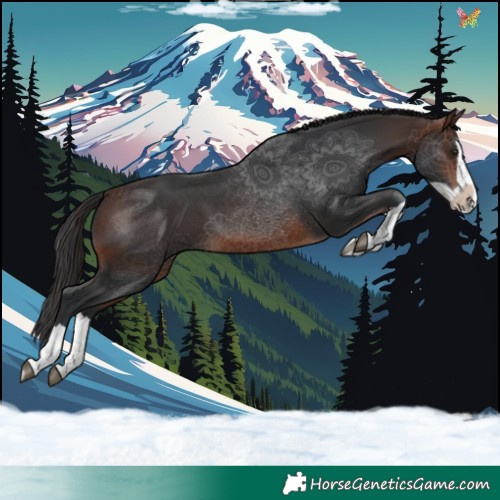 Horse Color:Brown Splash 