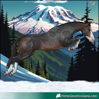 Horse Color:Brown Splash 