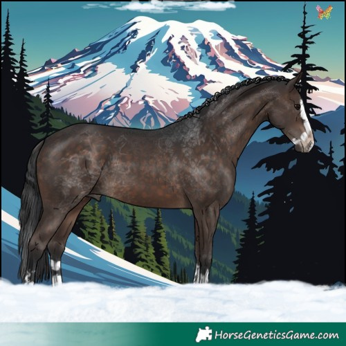 Horse Color:Brown Splash 