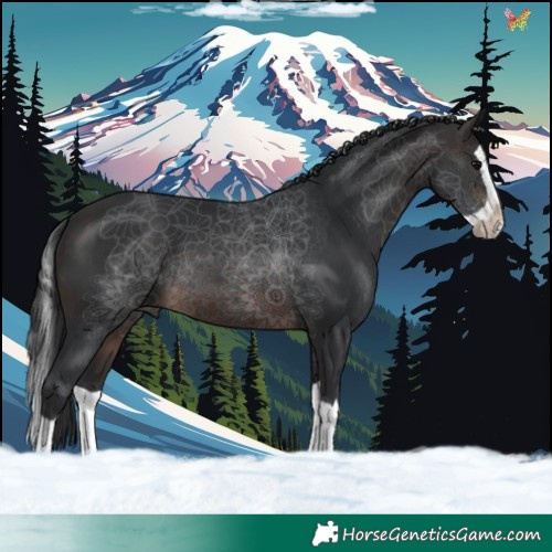 Horse Color:Brown Splash 