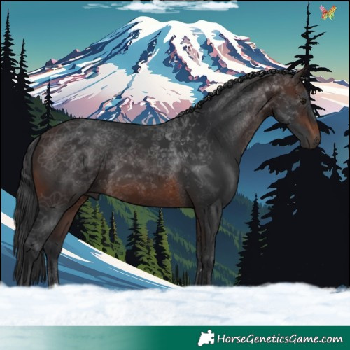 Horse Color:Brown 
