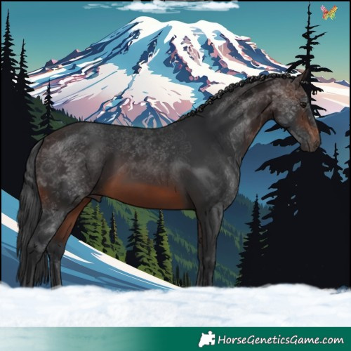 Horse Color:Brown 