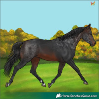 Horse Color:Brown 
