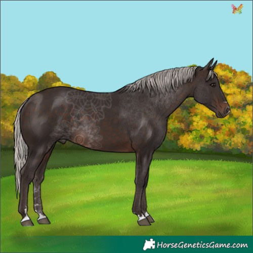 Horse Color:Silver Brown 