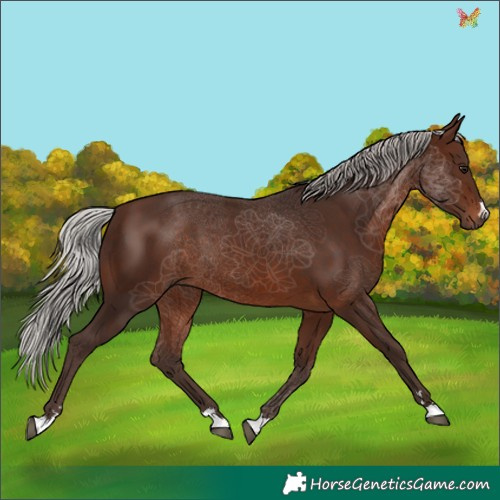 Horse Color:Silver Brown
