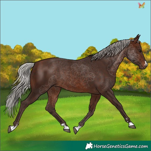 Horse Color:Silver Brown 